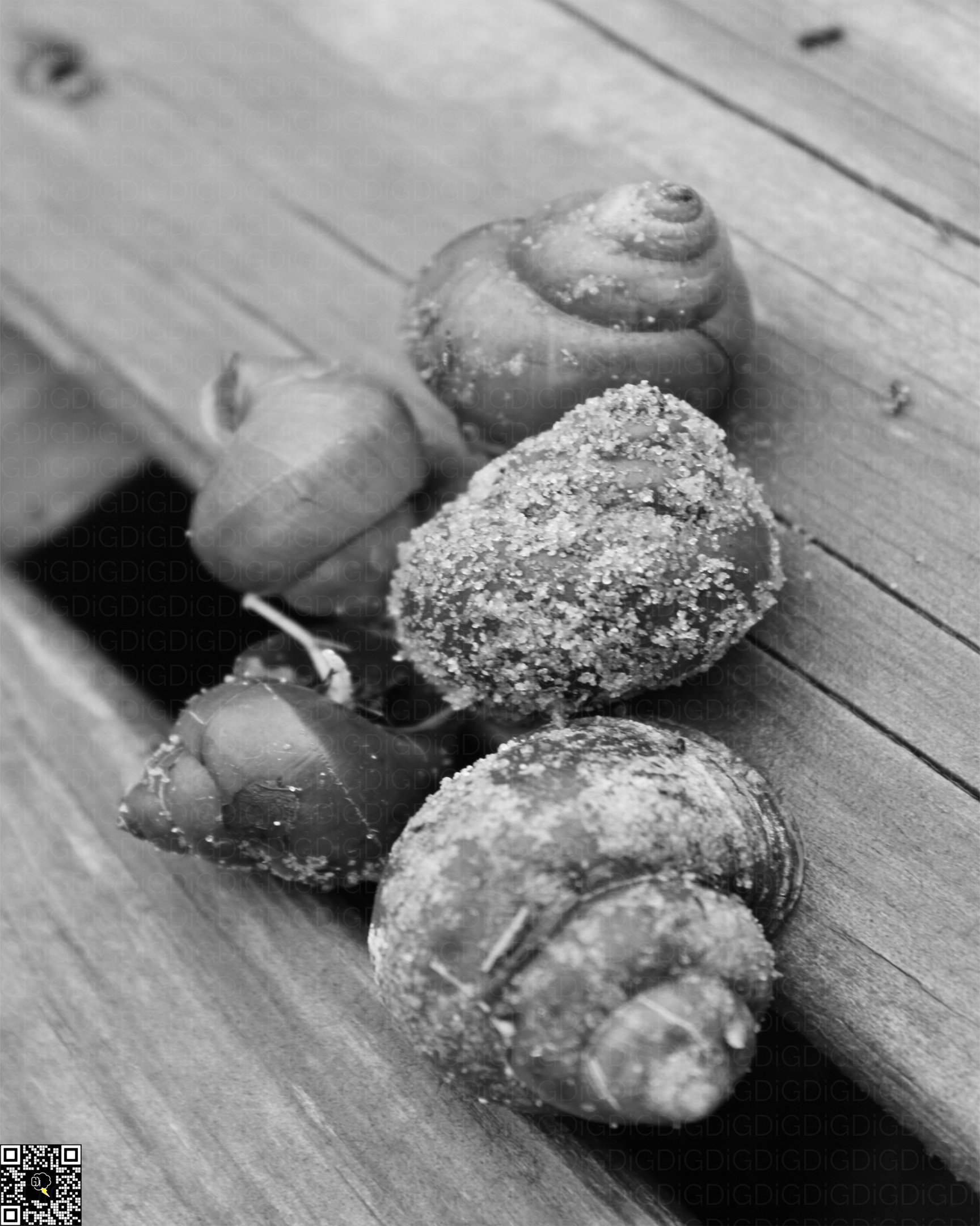 A serene day by the water with cheerful ambiance.