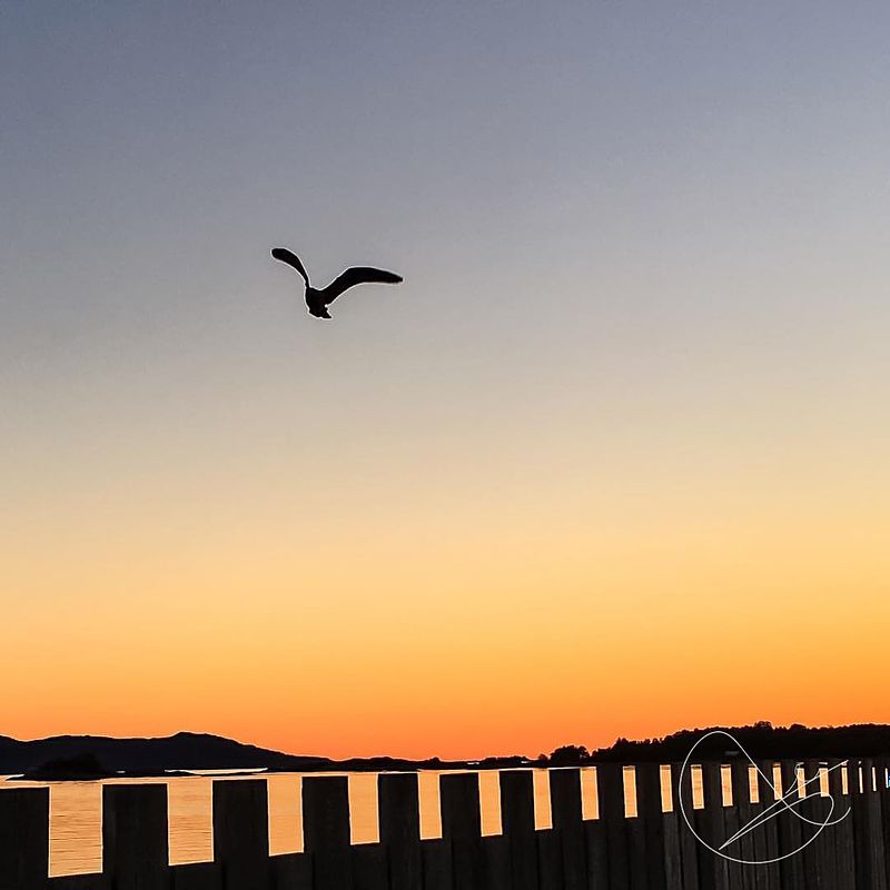 Ute på oppdrag til kl 13:00