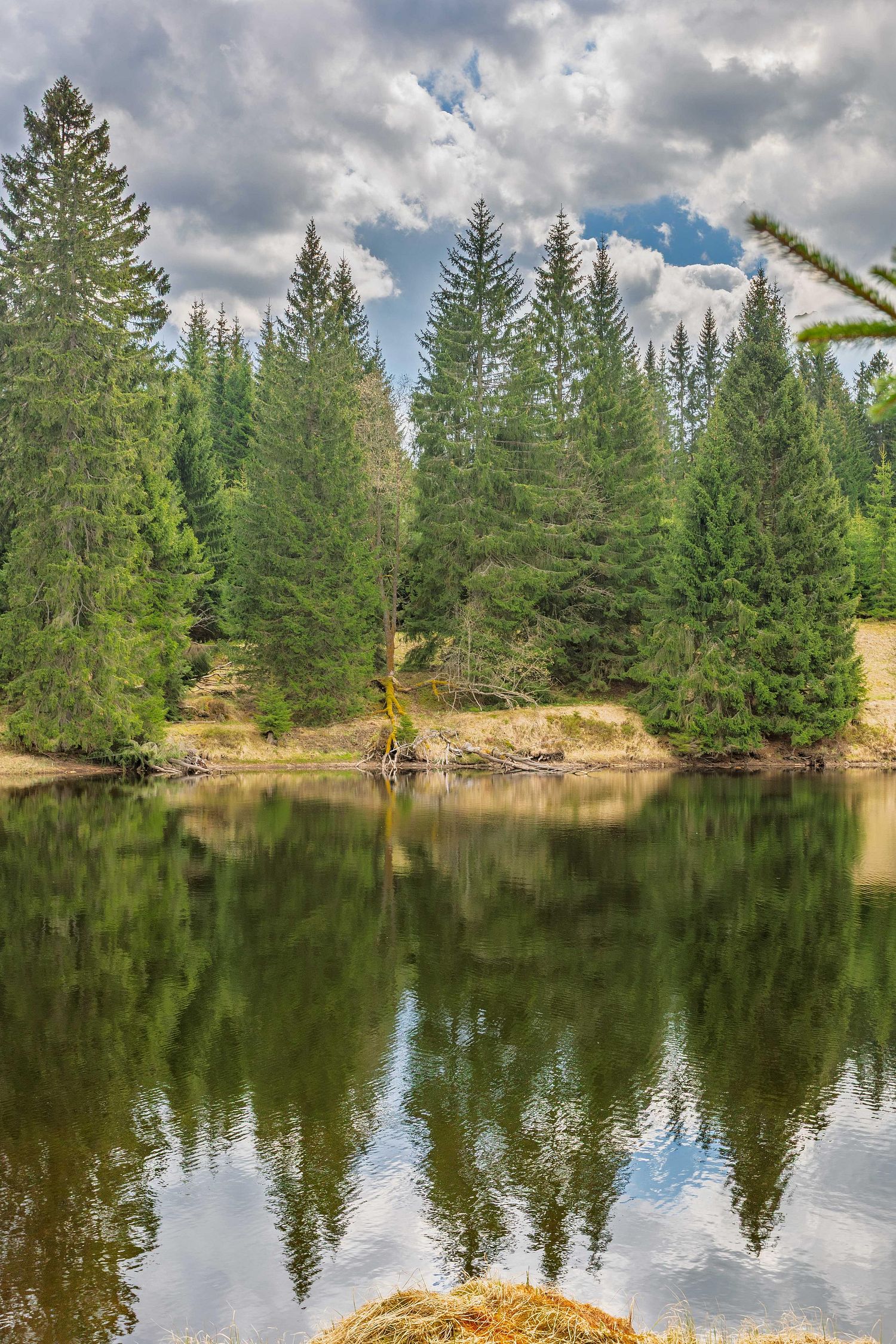 Lac Laka Sumava