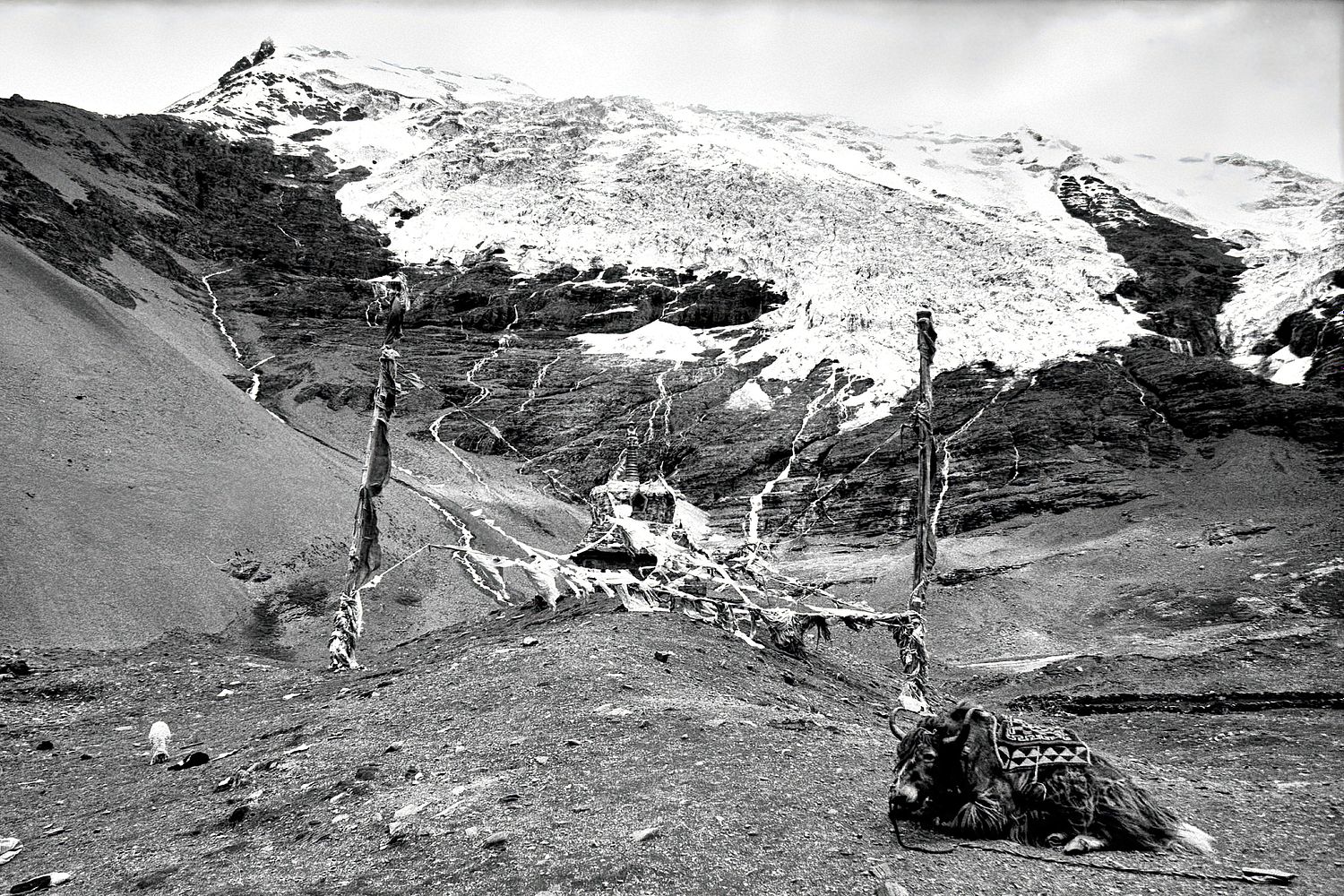 Tibet | 2005