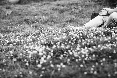 Chalk and Cheese Photography