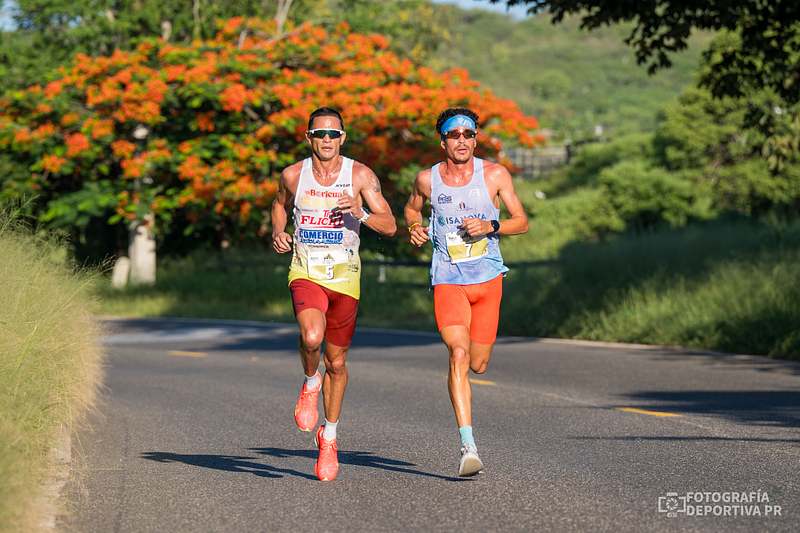 EL AJOGUILLO 10K