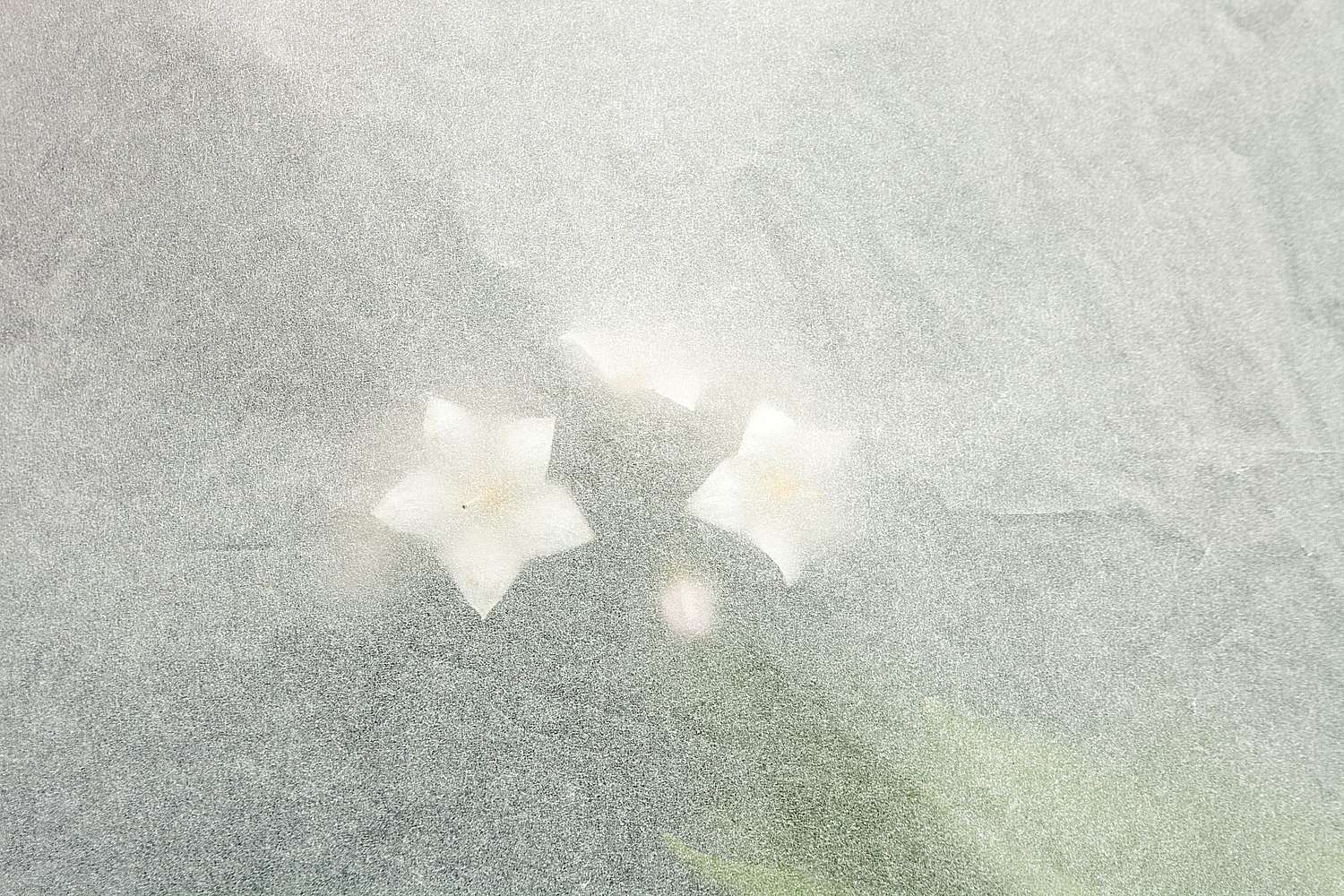 Jos&eacute; Javier Gonz&aacute;lez