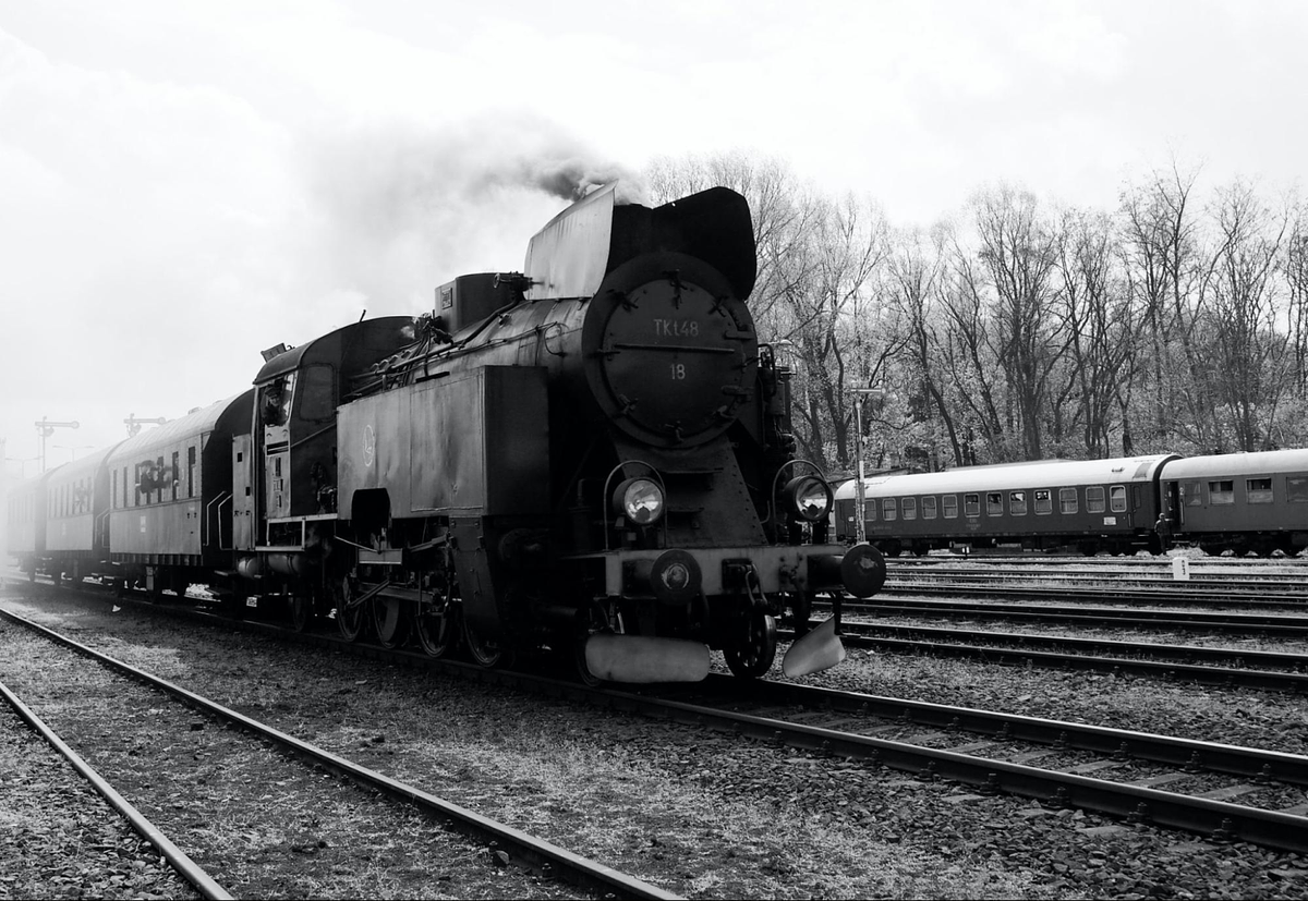 Photographie en noir et blanc