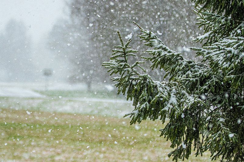 Detsembrikuu sügisesed ilmingud