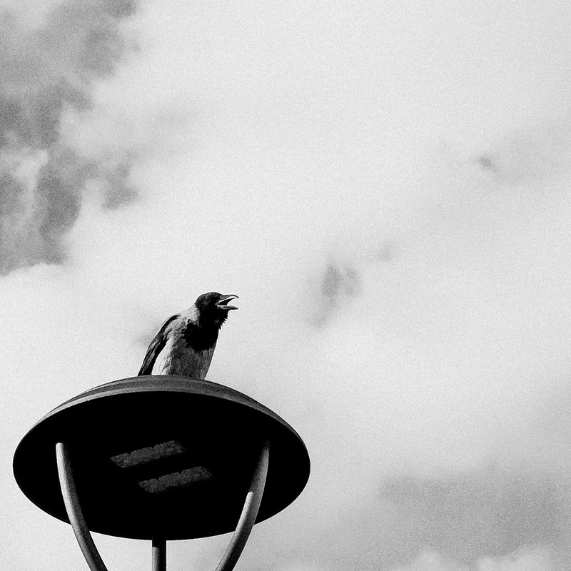 Czy sprzęt fotograficzny ma znaczenie?