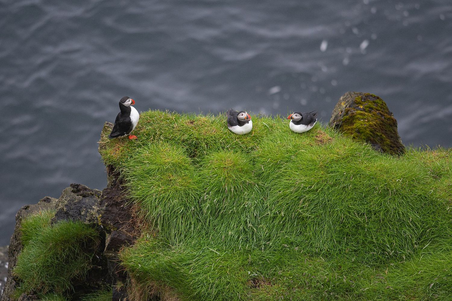 Nick Julian Photography