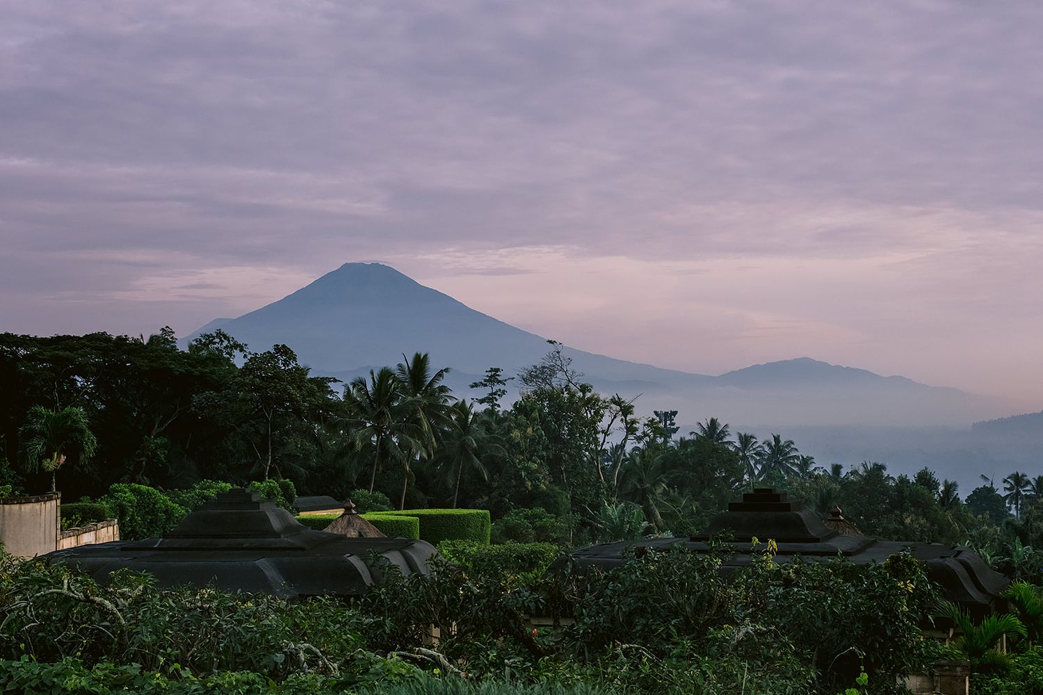 Funkydali Photography