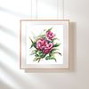 Pink Camellia Flowers