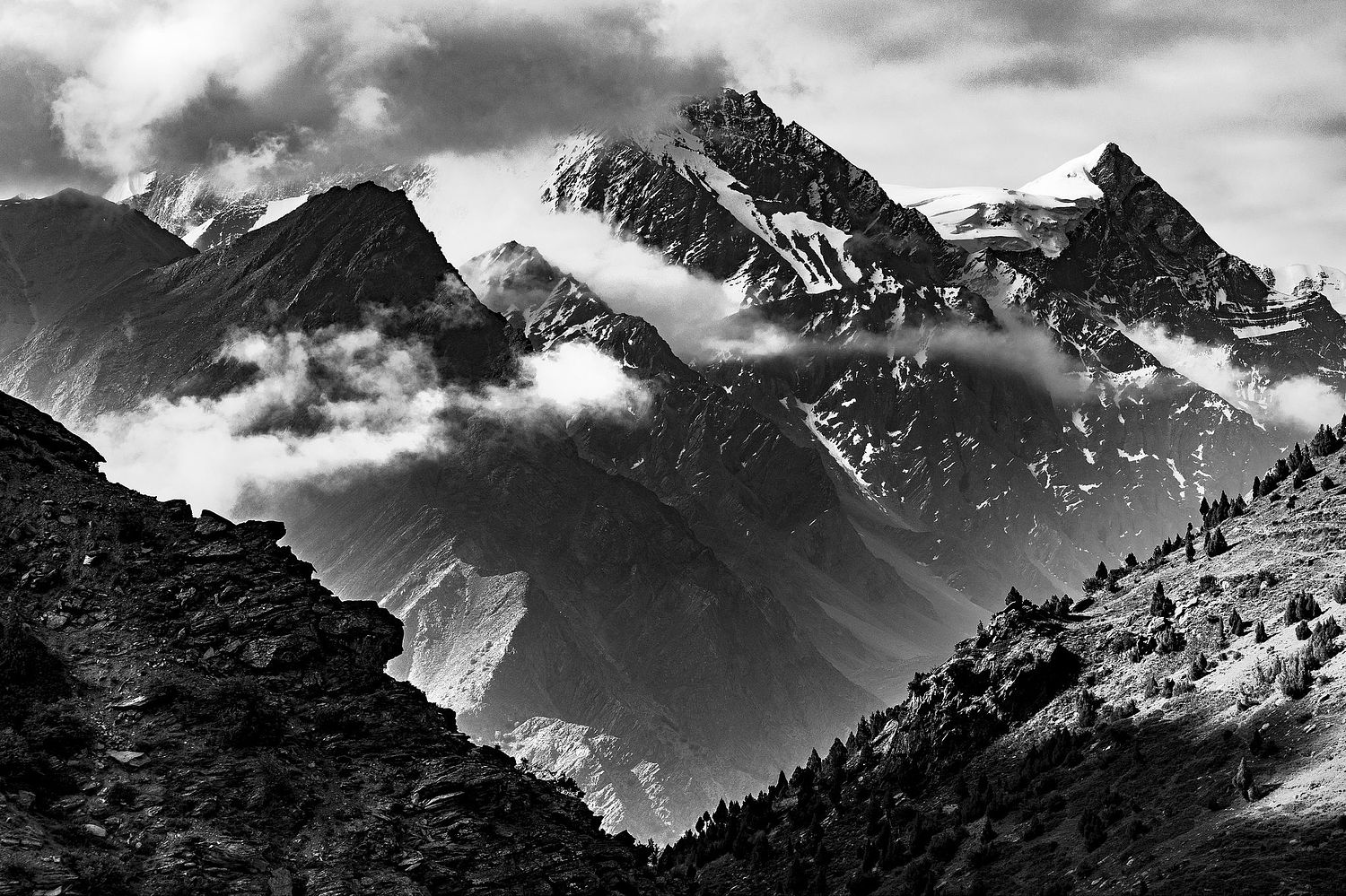 Andr&eacute; J Fanthome