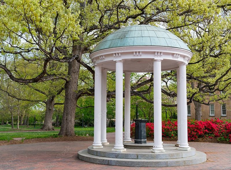 Why Early Spring Senior Photoshoots in Chapel Hill, NC Are Ideal