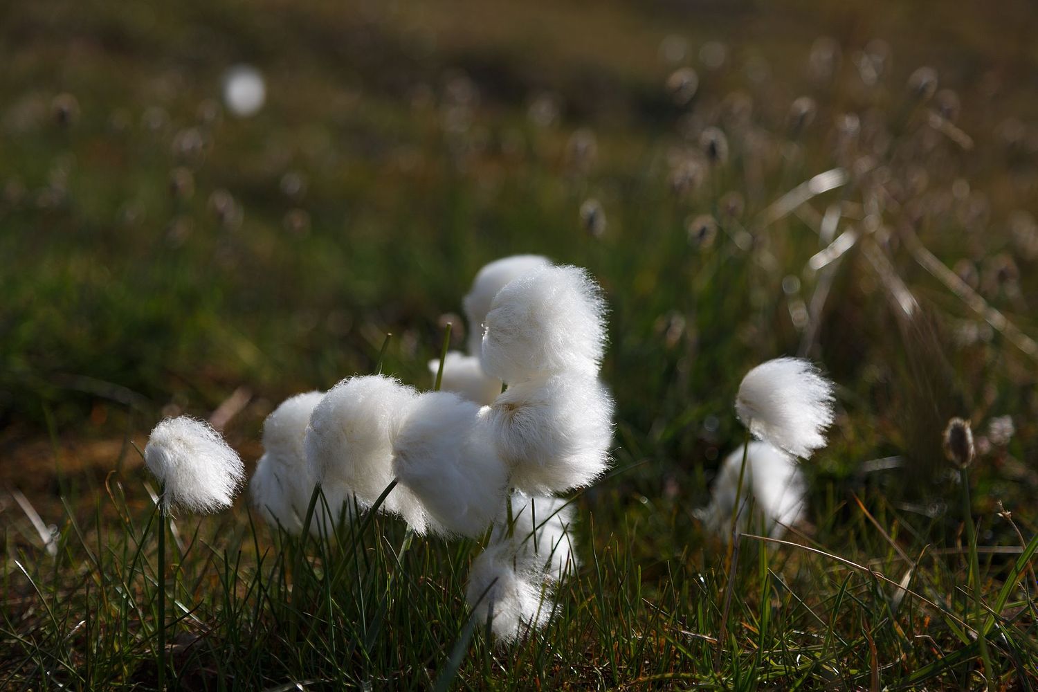 Mike van der Steen Photography