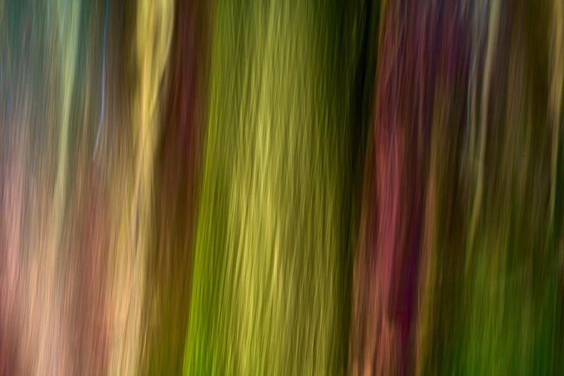 Abstracte natuurfotografie (4 juli 2026)