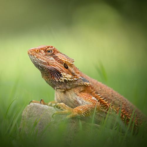 Hoe werkt een fotoshoot?