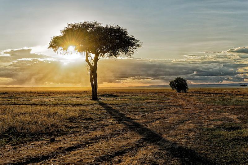 Paysages (tirage rectangulaire)