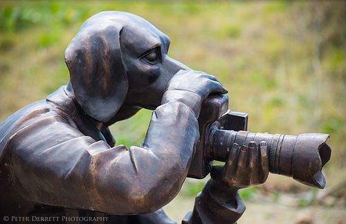 Swell Sculpture Festival. Gold Coast.
