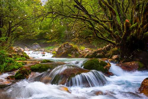 Mountain stream