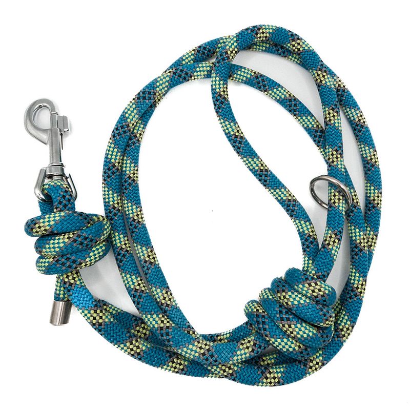 Blue & Lime Big Dog Lead