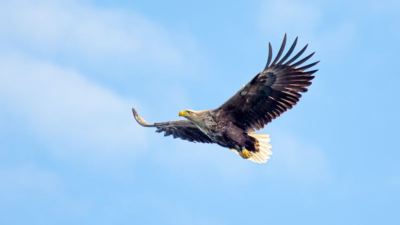 Måndag opnar studioet kl 12.