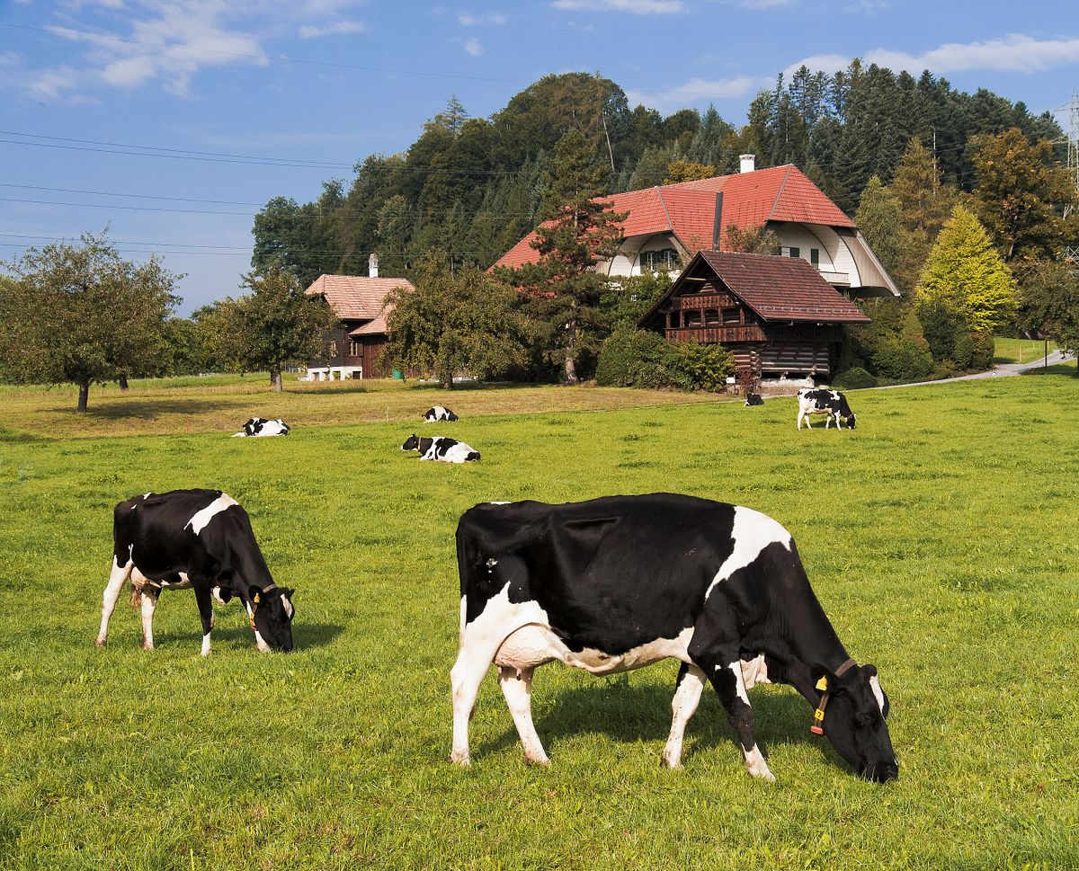 Kapelle Wilder Geschinen