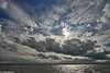 Midweek Oostelijke Waddenzee 5 dagen (4 - 8 mei 2026)
