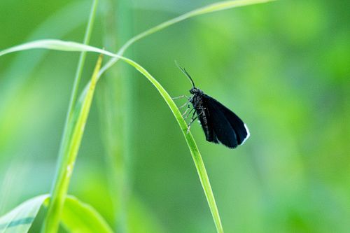 Pildistatud t&ouml;&ouml;d
