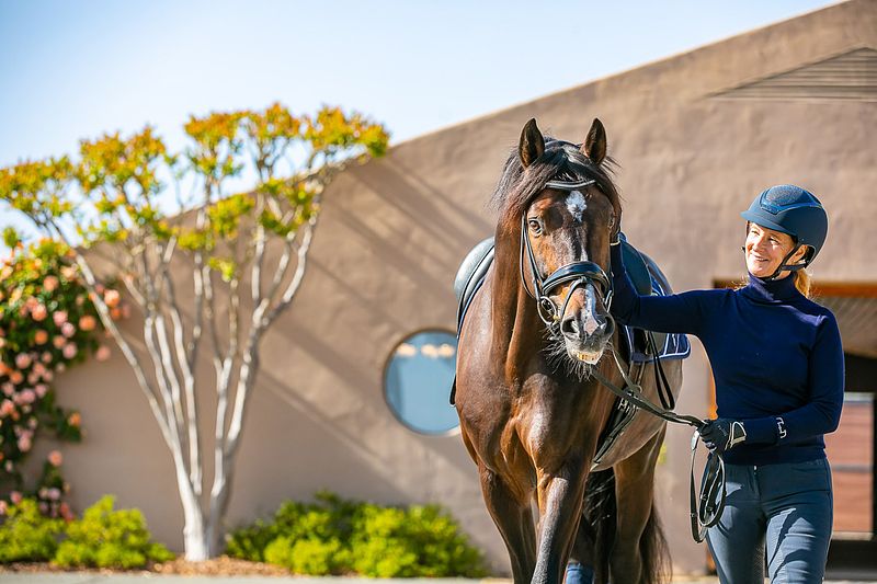 Olympic Contender | Sabine Schut-Kery & Sanceo at Toyon Farms
