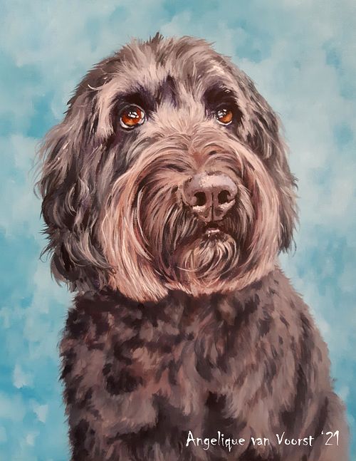 Labradoodle dog portrait with gentle and expressive eyes