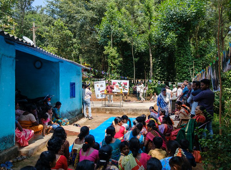 A Festival of Coffee in the Hills