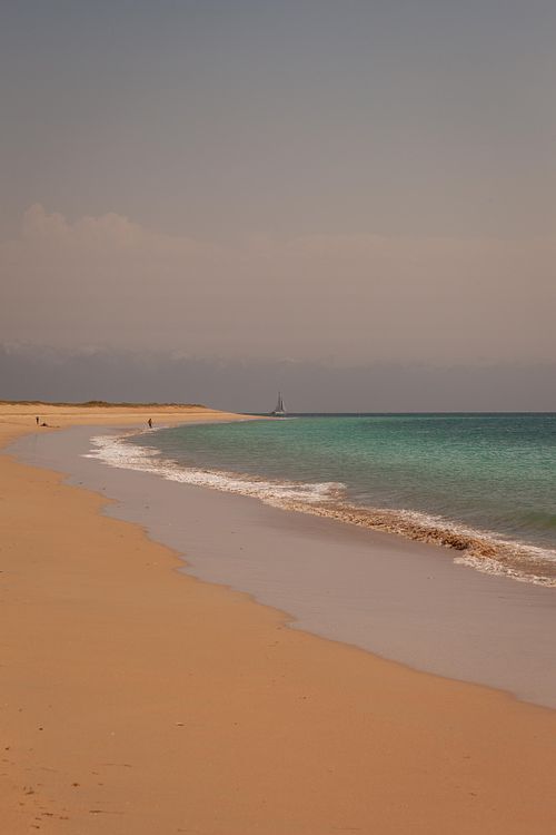 Banc de sable au bord de la mer.