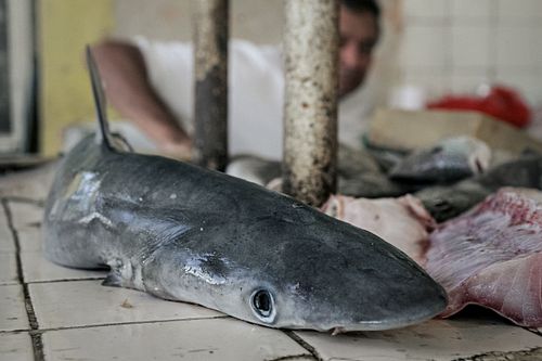 Mercado de la Aleman