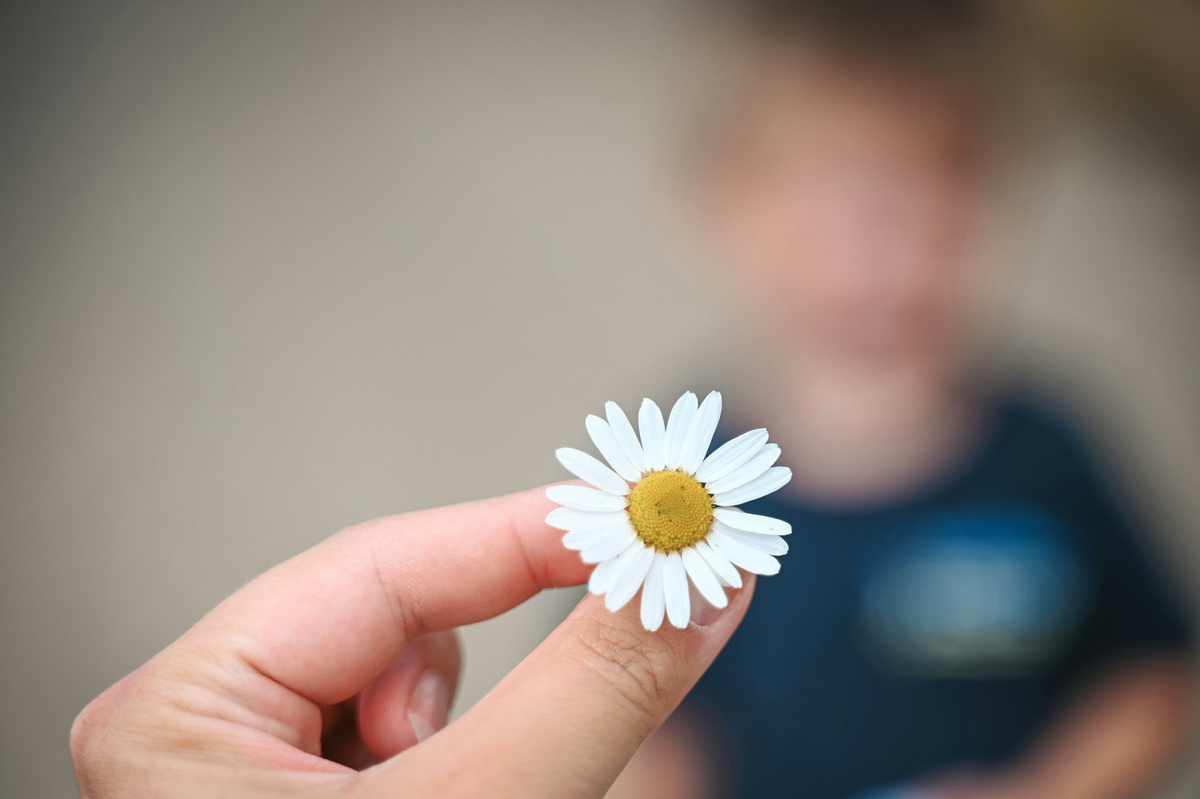 Blumenfotografie
