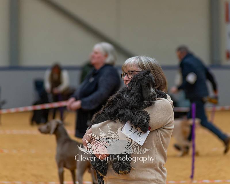 South West Scotland Gun Dog Show