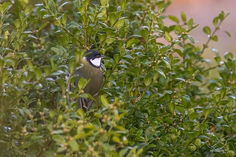Studioet er stengt fredag