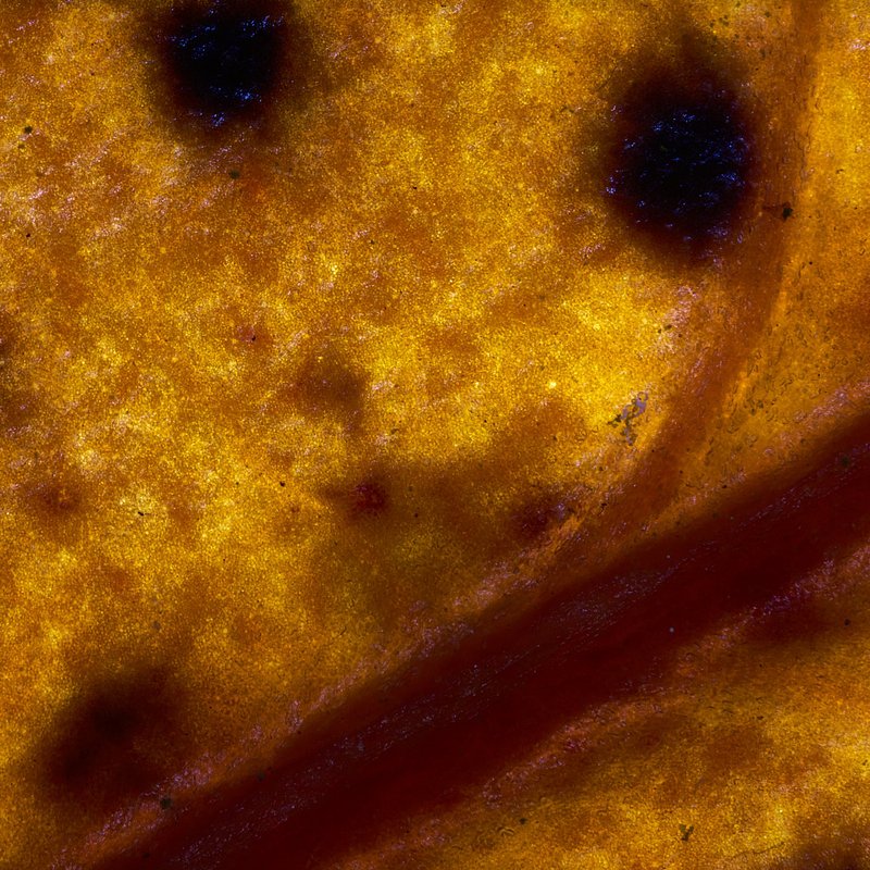 Gouden Tijdperk in Verval (Digital Art)