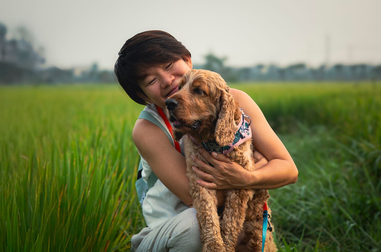 Dorset Dog Portraits