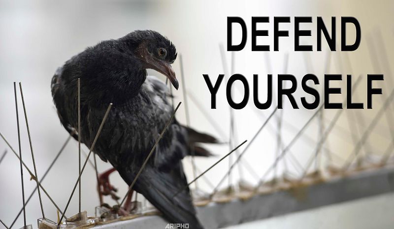 Defend Yourself