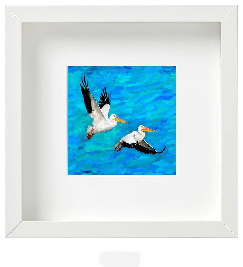 White Pelicans in Flight