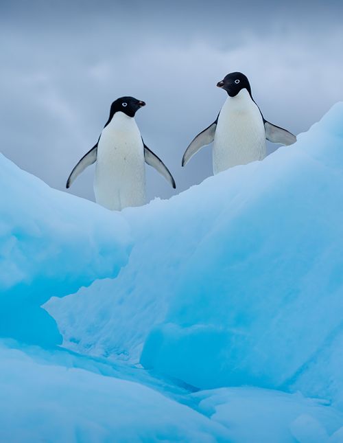 Chit Chat on Thin Ice