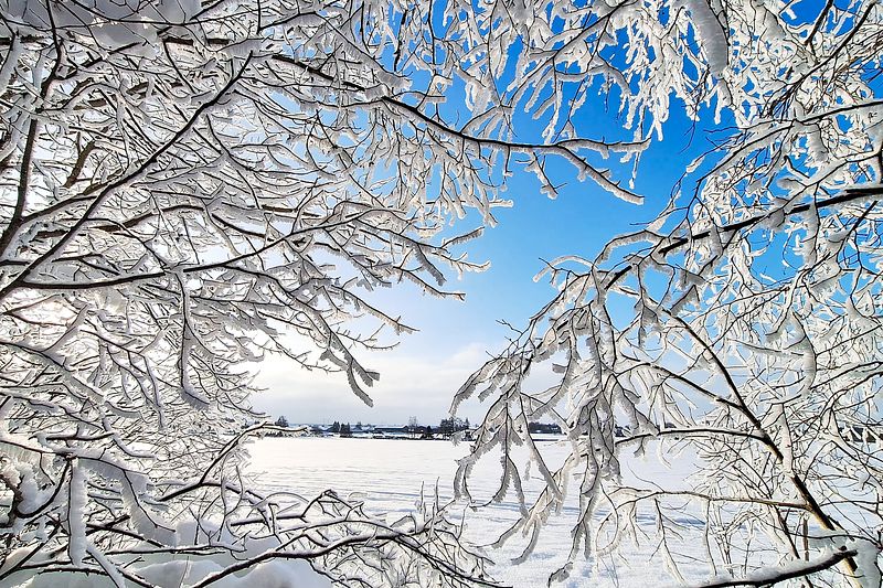 Talvepäev läbi talviseakna.
