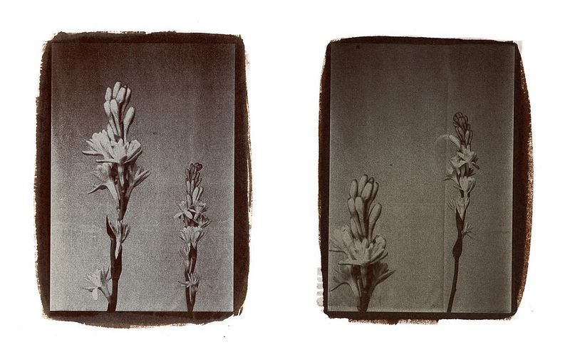 VIVEK MUTHURAMALINGAM