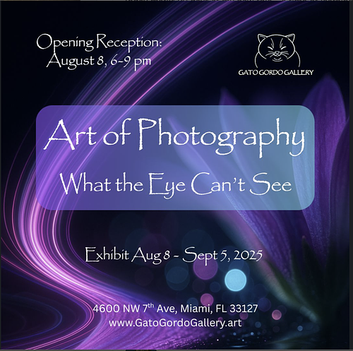 Book Reading & Signing: The Quiet Cure