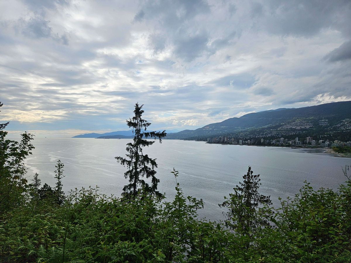 vancouver harbor from stanley park