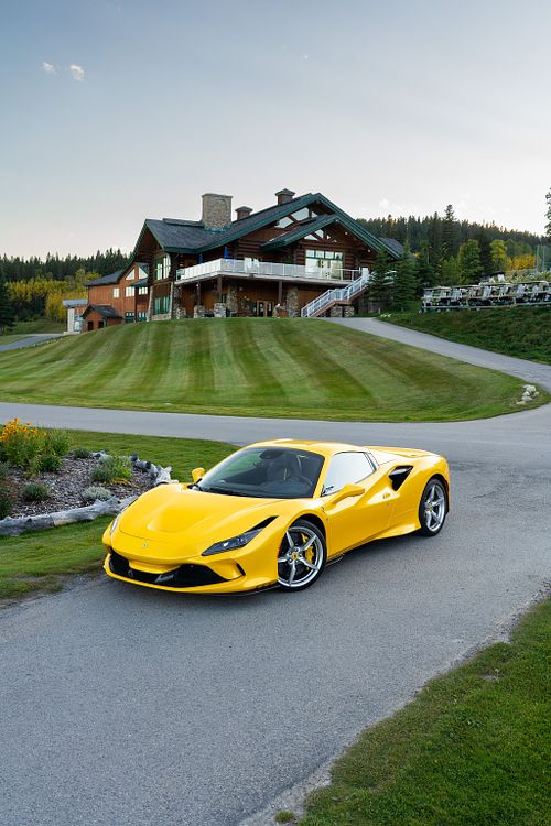 Yellow Ferraris: F8 & 296