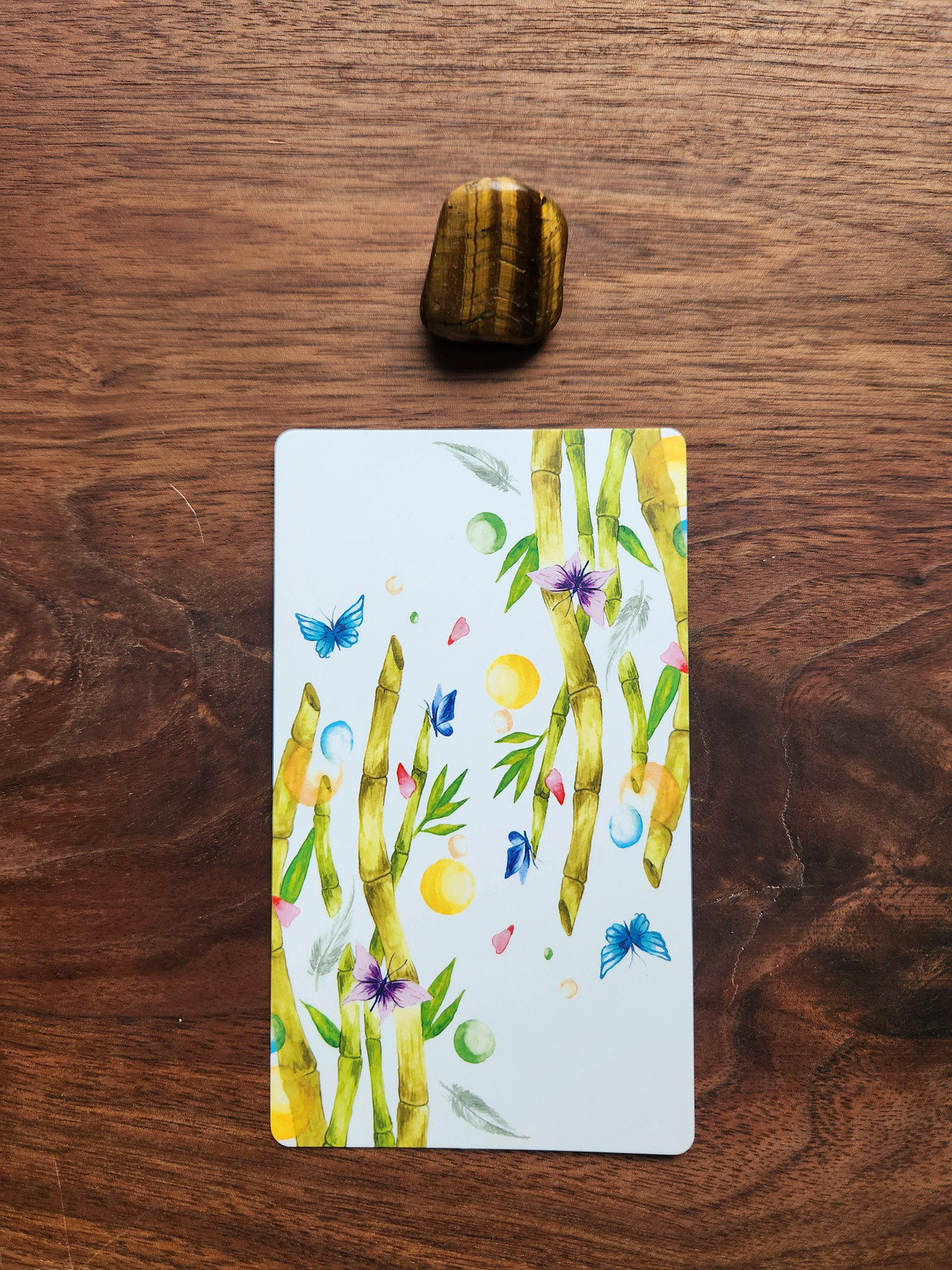 Way of the Panda Tarot Card and Tiger Eye