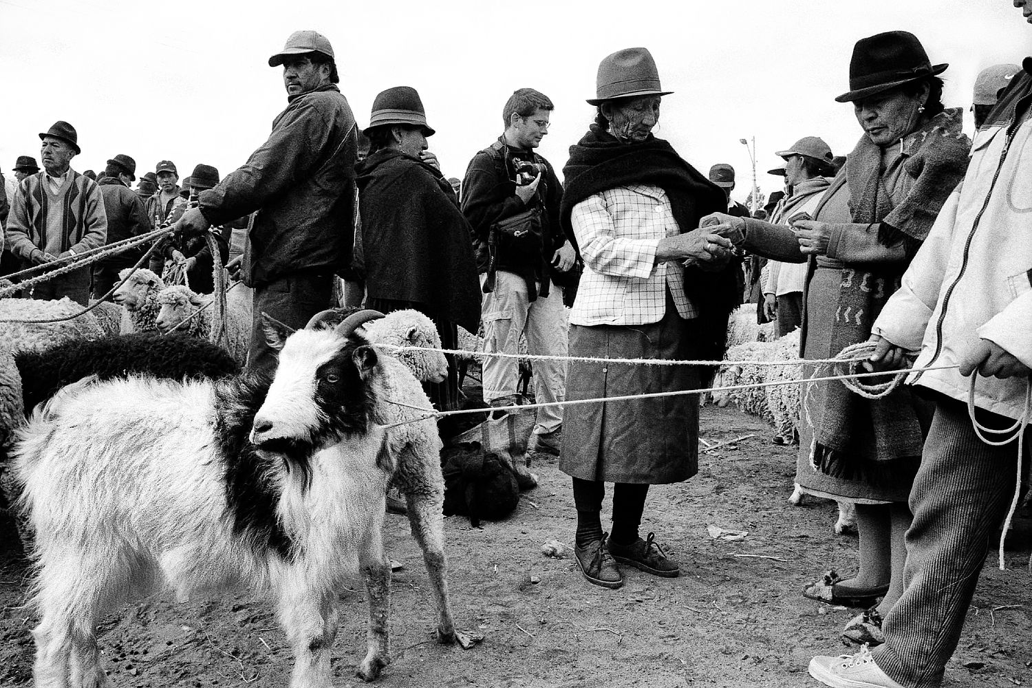Ecuador | 2003