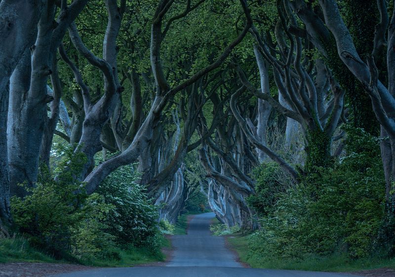 IRELAND
