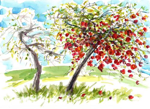 Touffreville mon village