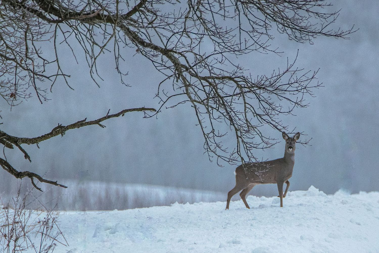 Pildistan kõike, mis mind inspireerib.