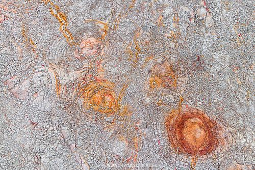 Konzentrische Eisenfällungsringe